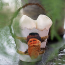 Vintage-Inspired Pale Blue Paper Candy Container with Glossy Santa Image
