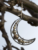 Silvered Half Moon